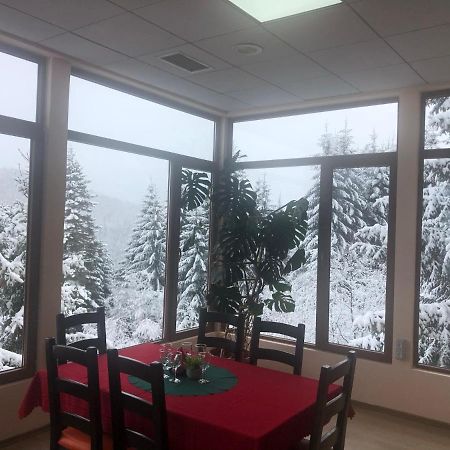 Genco Hotel Mountain View Predeal Exterior foto